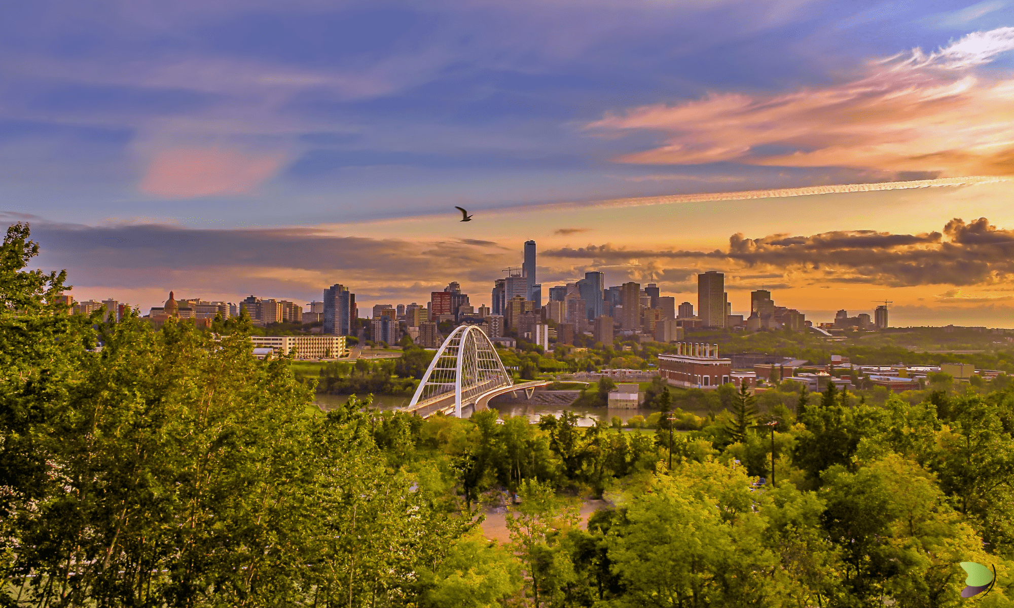 in home physiotherapy in location of edmonton